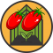 Seminte de tomate alungite, rosii prunisoara