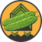 Castraveti cornichon