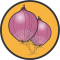 Seminte de ceapa