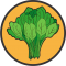 Seminte de spanac