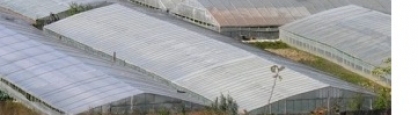 Cea mai lata folie de acoperire pentru sere si solarii 17 metri