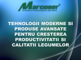 PREZENTARI SI SIMPOZIOANE MARCOSER