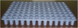 tavi-si-tavite-alveolare