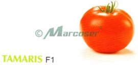 Tamaris F1