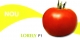 Lorely F1