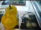 Bobita F1