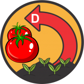 Seminte de tomate determinate
