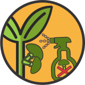 Fungicide