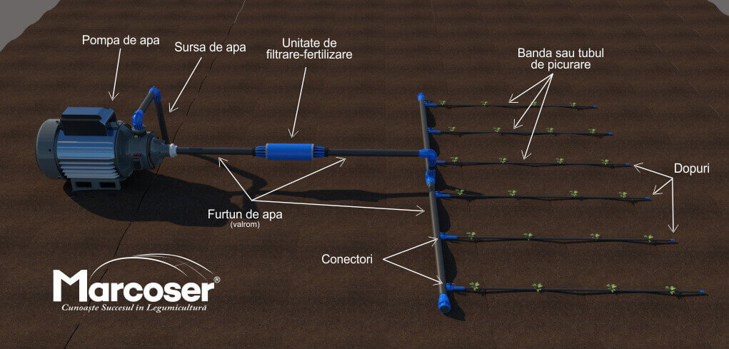 Schema instalatie de irigare prin picurare - banda Aqua Traxx DG10