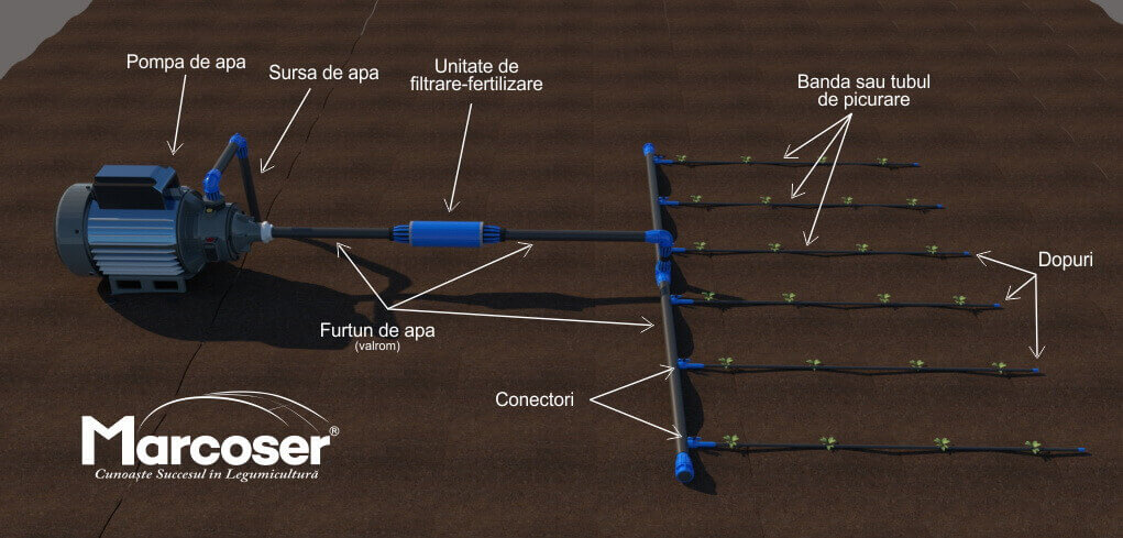 Schema instalatie de irigare prin picurare - tub