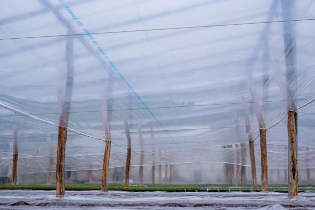 Instalare folie termica in solar