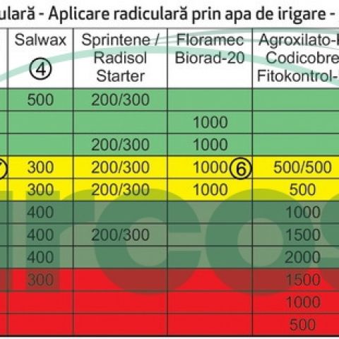 Planuri de fertilizare radiculara si foliara la tomate