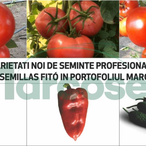 Varietati noi de seminte profesionale de la Semillas Fito