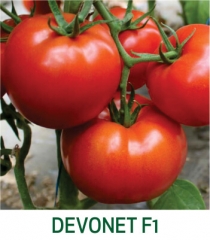 Tomate Devonet F1 Marcoser