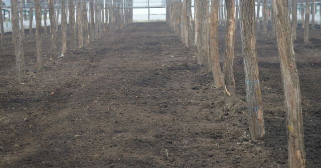 Sol maruntit pentru aplicare Basamid