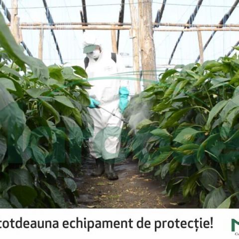 Recomandari in aplicarea produselor de protectie a plantelor