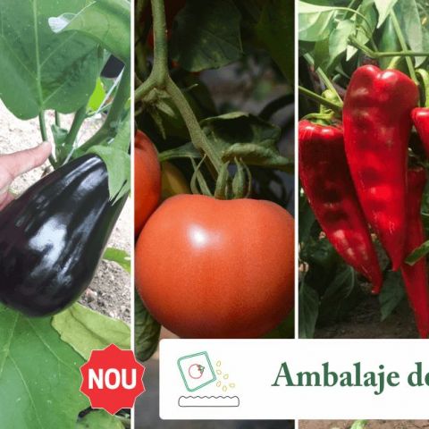 Seminte profesionale de legume la ambalaje de 100 de seminte