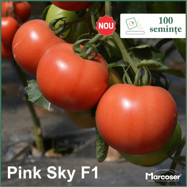 Pink Sky F1 la ambalaj de 100 de seminte