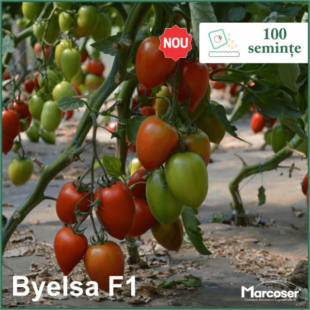 Byelsa F1 la ambalaj de 100 de seminte