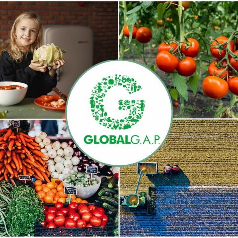Certificarea Global GAP