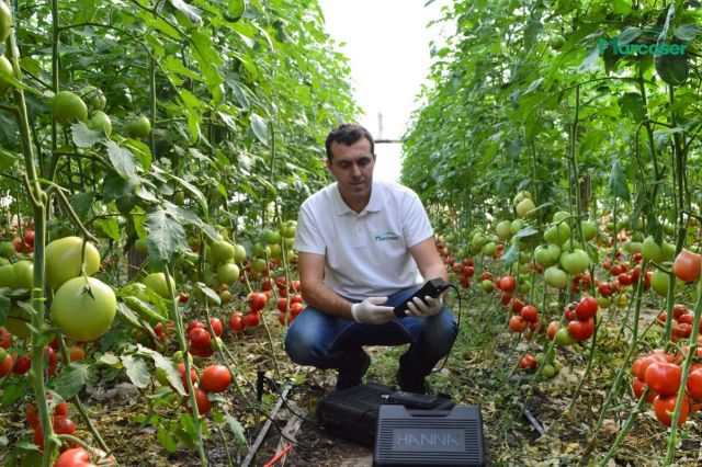 Analiza specialistului in cultura de legume