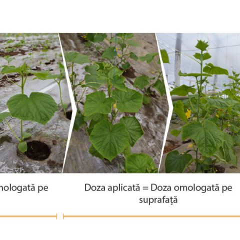 Dozarea si aplicarea foliara a produselor de protectie a plantelor