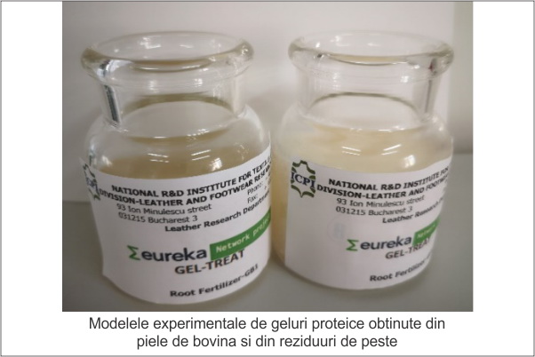 modelele experimentale de geluri proteice obtinute din piele de bovina si din reziduuri de peste