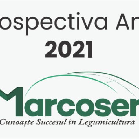 Retrospectiva activitatilor din anul 2021 la Marcoser