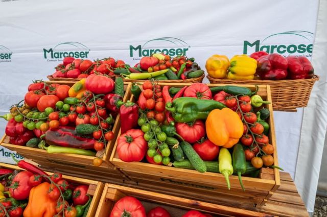 Legume recoltate de la Ferma Marcoser