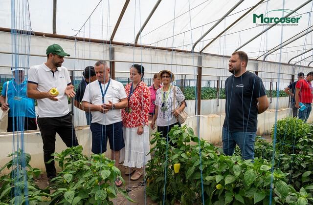 Eveniment la ferma Marcoser cu Syngenta