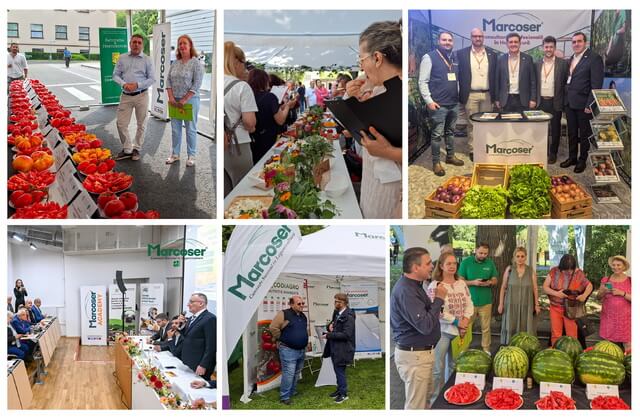 Marcoser - Partener la degustari si evenimente tematice 