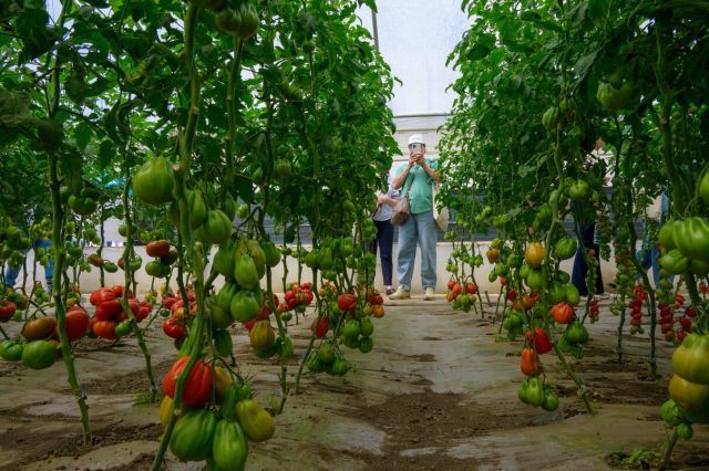 Hibrizi - Kilometrul 0 al legumiculturii 2026 la Ferma Marcoser