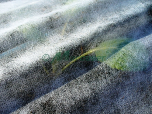 Folie microporoasa tip Agril (17g/m2)