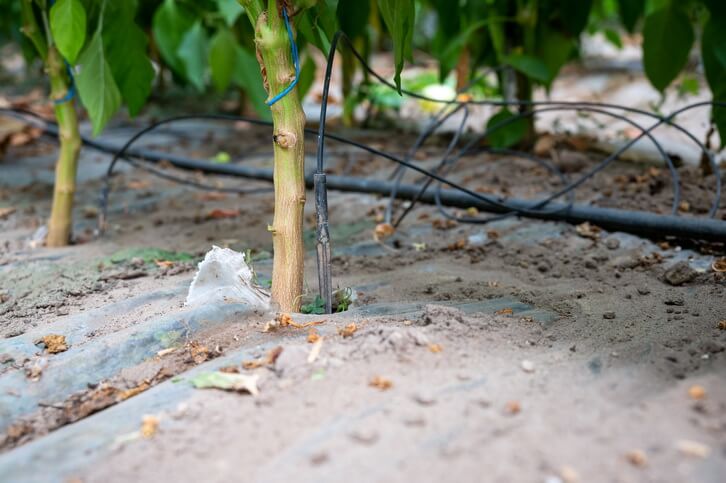 PIX PENTRU TUB CAPILAR 2 mm