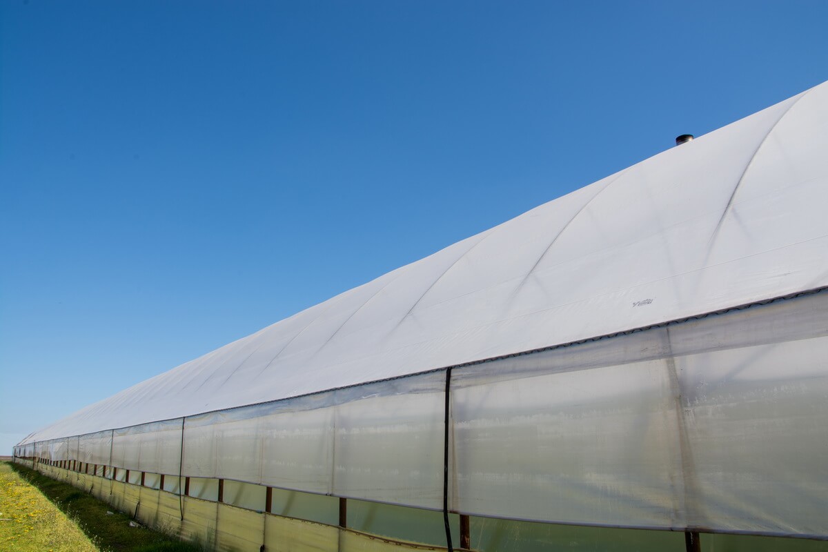 FOLIE DE ACOPERIRE PENTRU SOLAR DE 170μ