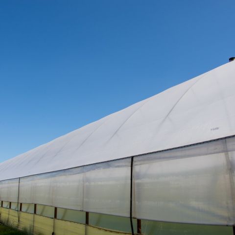 FOLIE DE ACOPERIRE PENTRU SOLAR DE 170μ