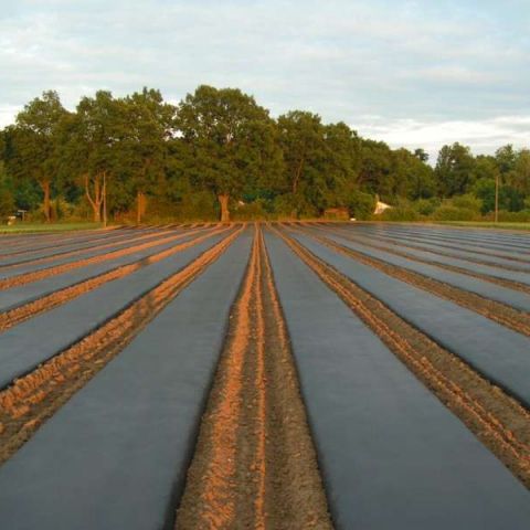 AGROTEXTIL