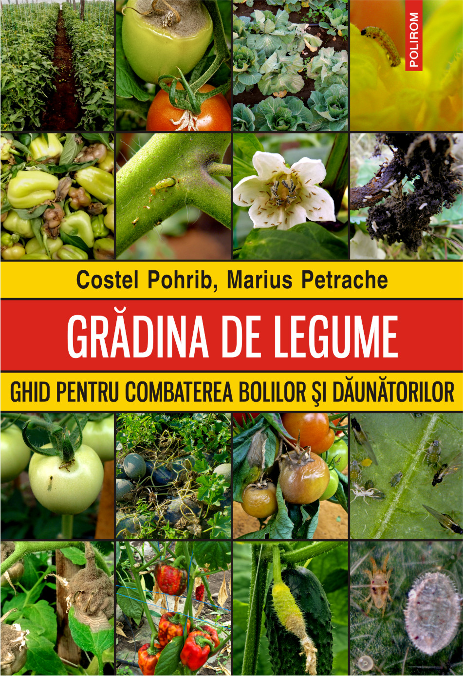 pdf eclipse phase the stars