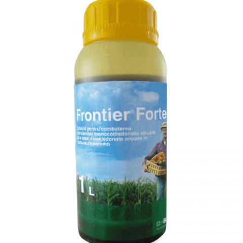 FRONTIER FORTE