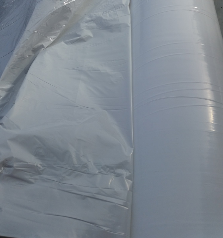 FOLIE DE MULCIRE ALBA