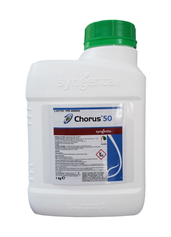 CHORUS 50