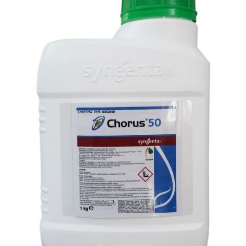 CHORUS 50