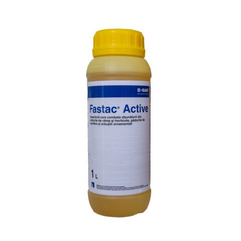 FASTAC ACTIVE