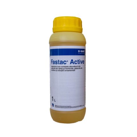 FASTAC ACTIVE 