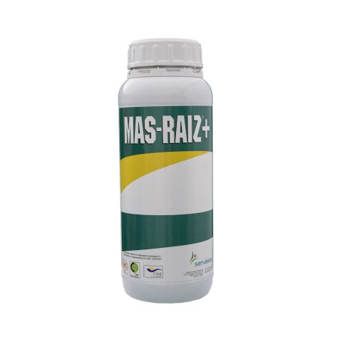 MAS-RAIZ+