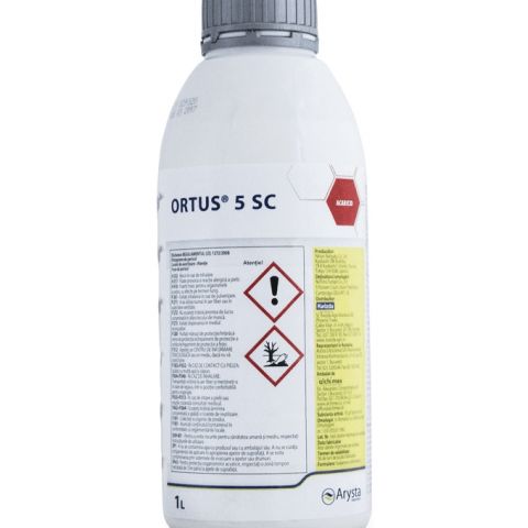 ORTUS 5 SC