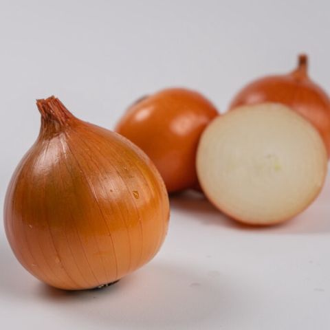 BARUSO F1