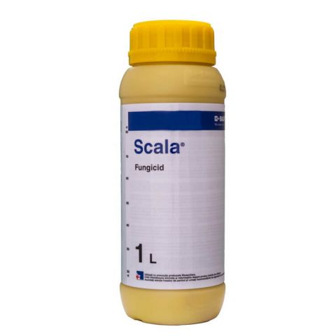 SCALA