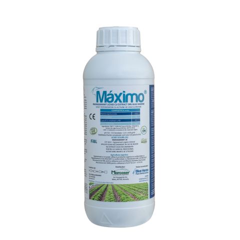 MAXIMO