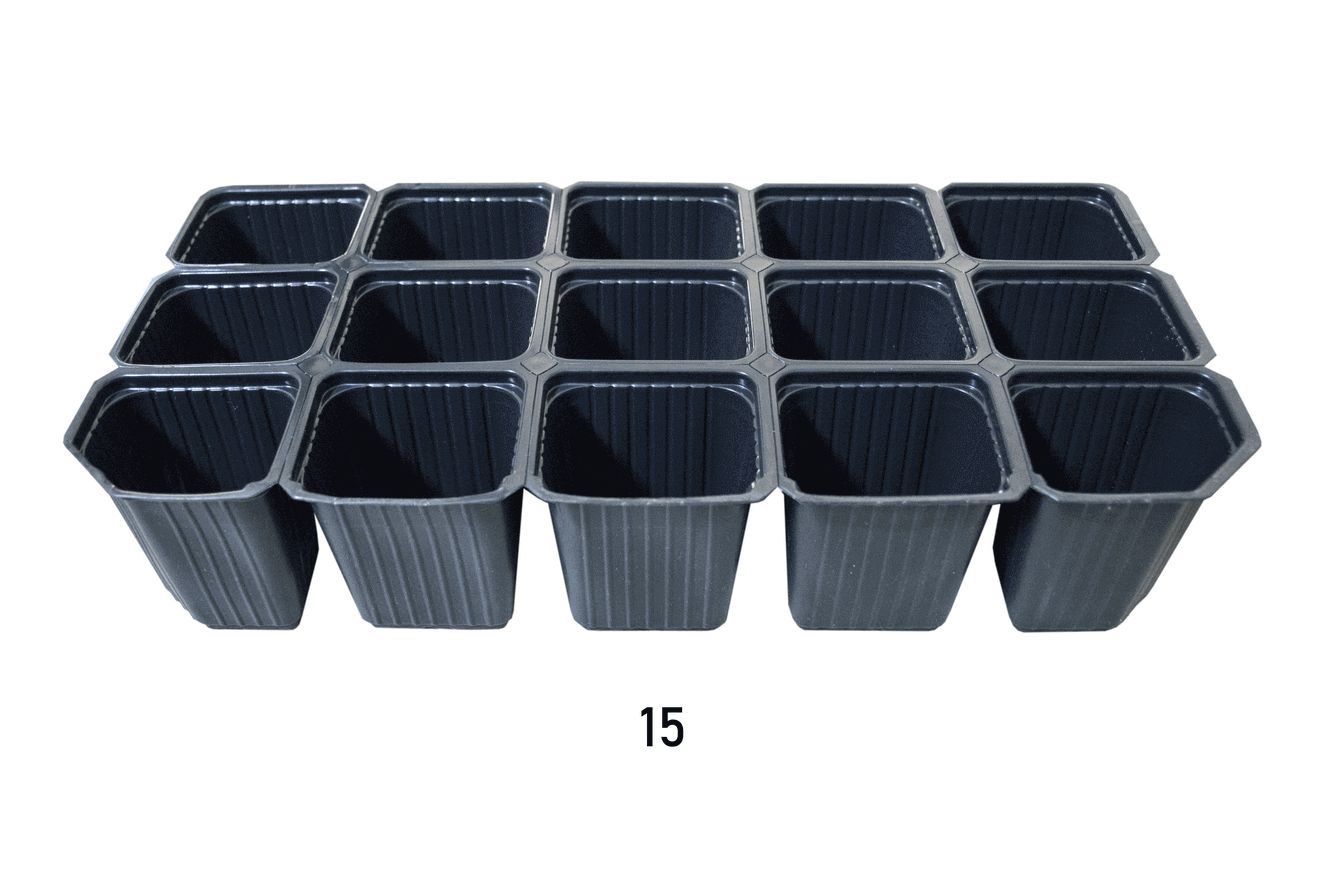 TAVI ALVEOLARE PENTRU REPICAT